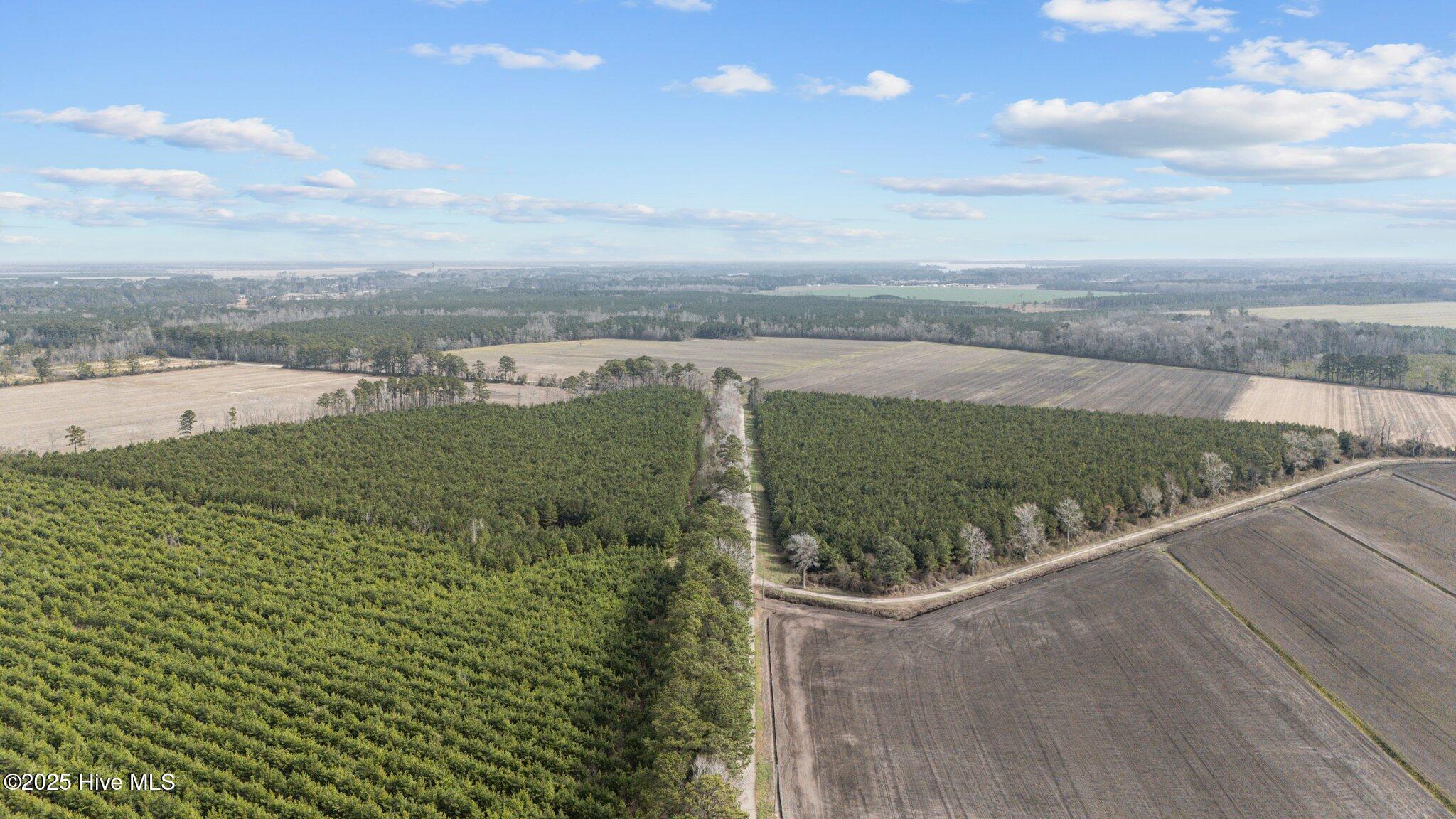 0 Neals Creek Road Bayboro, NC 28515 - Photo 10 of 32 9-web-or-mls-DJI_20250313115248_0041_D