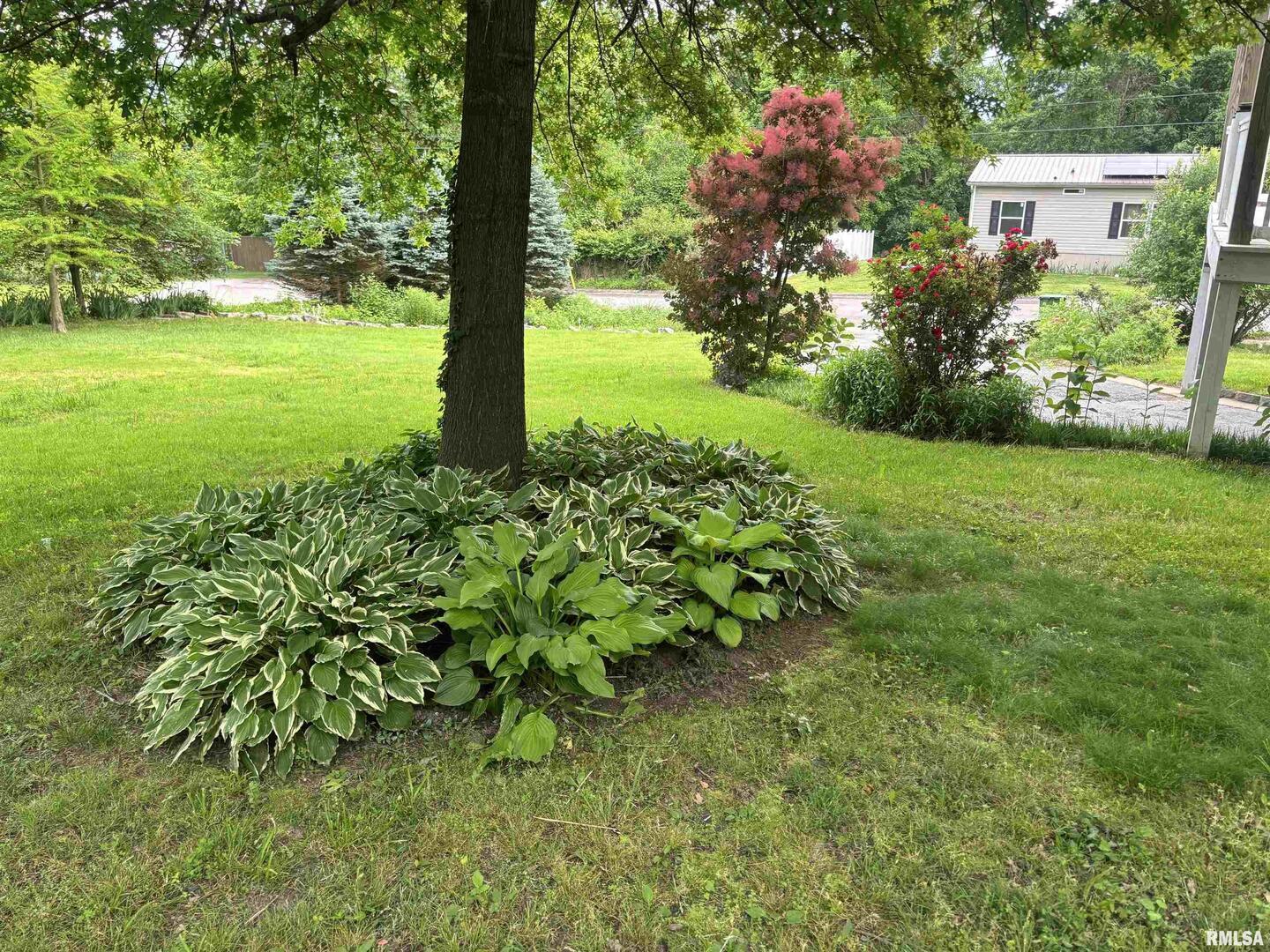 680 Stratton Street Chester, IL 62233 - Photo 5 of 22 a view of a garden with a flower garden