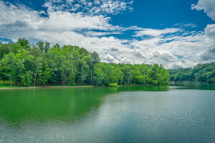 436 Chandler Road Doyle, TN 38559 - Photo 14 of 44 Gallery Image 14