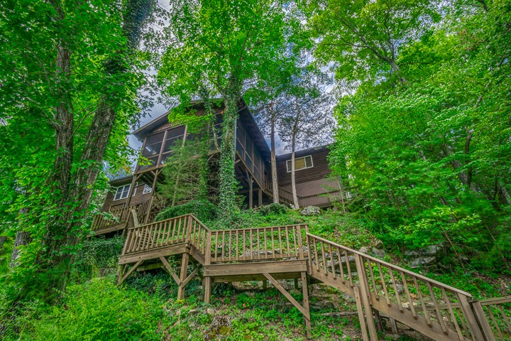 436 Chandler Road Doyle, TN 38559 - Photo 4 of 44 Gallery Image 4