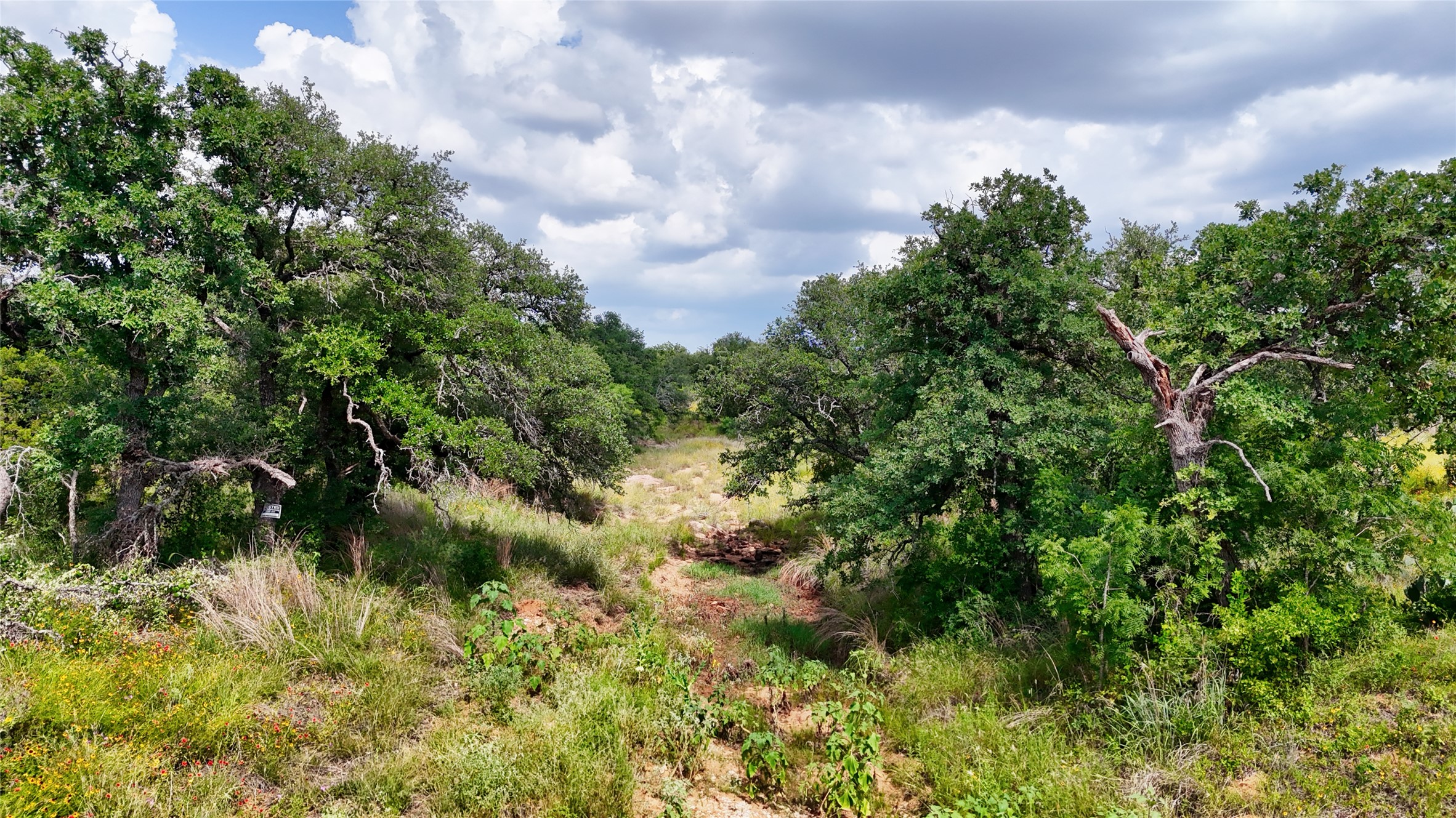 18248 Bode Peak Road Pontotoc, TX 76869 - Photo 7 of 17 Mature trees frame a sun-drenched, natural landscape, perfect for a private retreat.