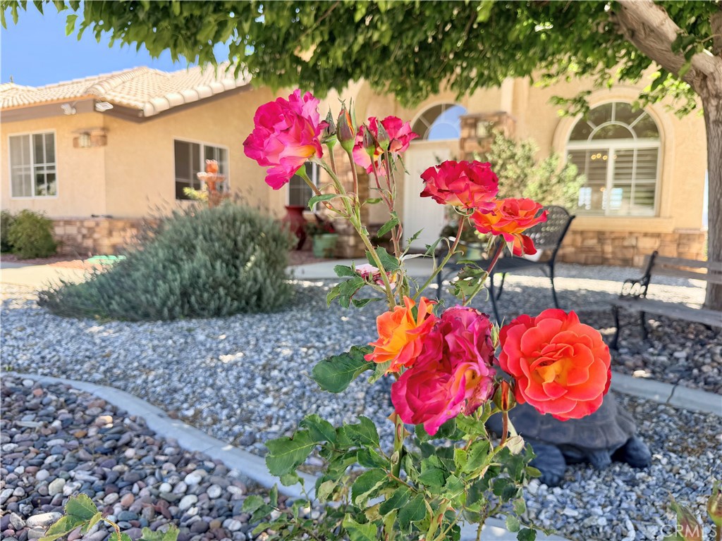 8535 Alta Mesa Road Hesperia, CA 92344 - Photo 46 of 47