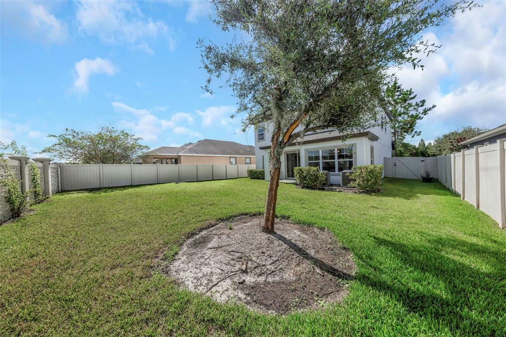 32475 Natural Bridge Road Wesley Chapel, FL 33543 - Photo 45 of 65 Gallery Image 45
