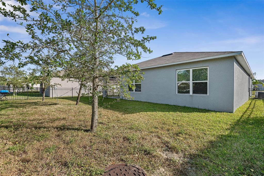247 Old Mill Edgewater, FL 32141 - Photo 42 of 67 a backyard of a house with plants and large tree