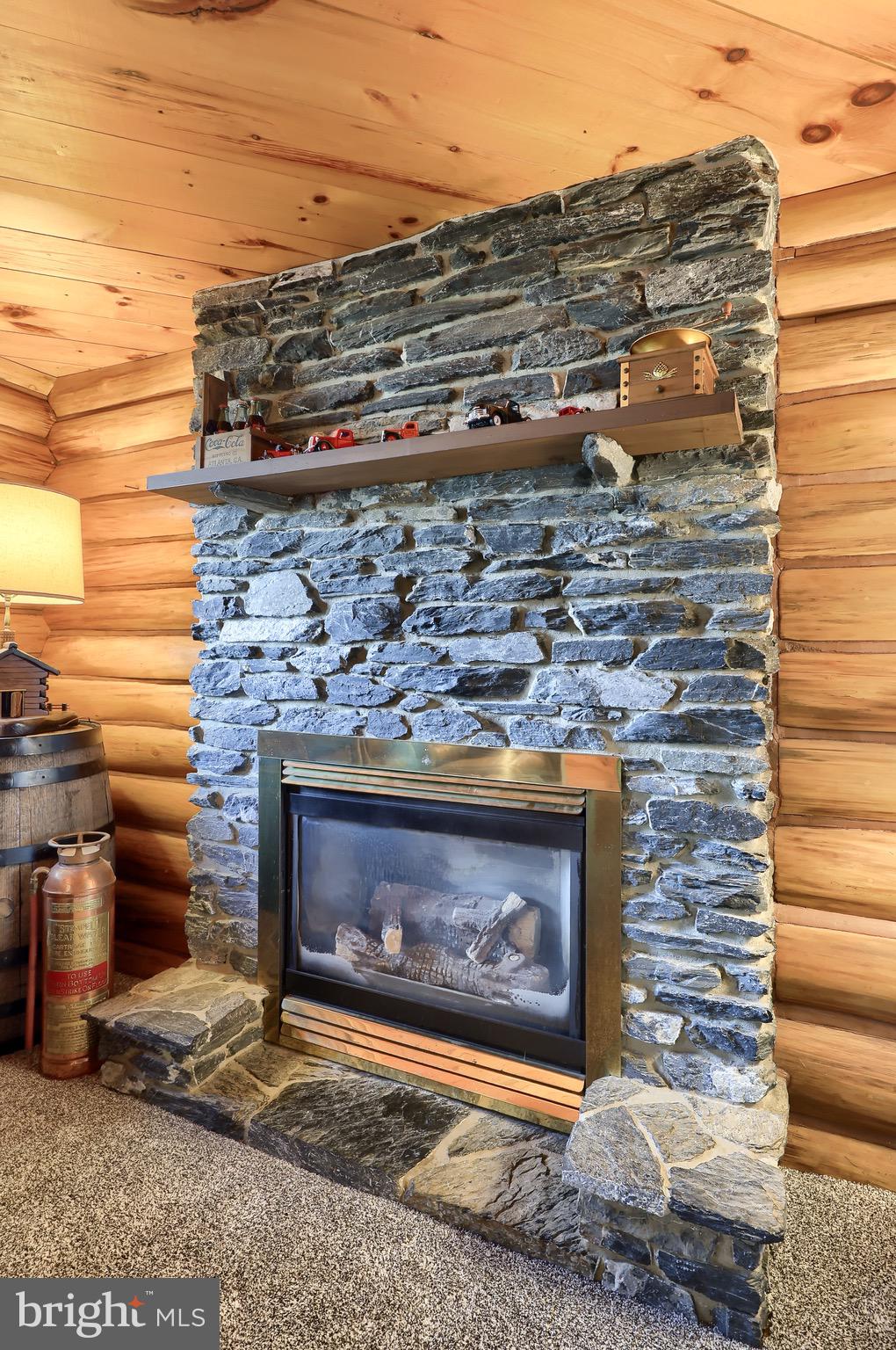 8 Bunker Hill Road Stevens, PA 17578 - Photo 49 of 59 Fire Place