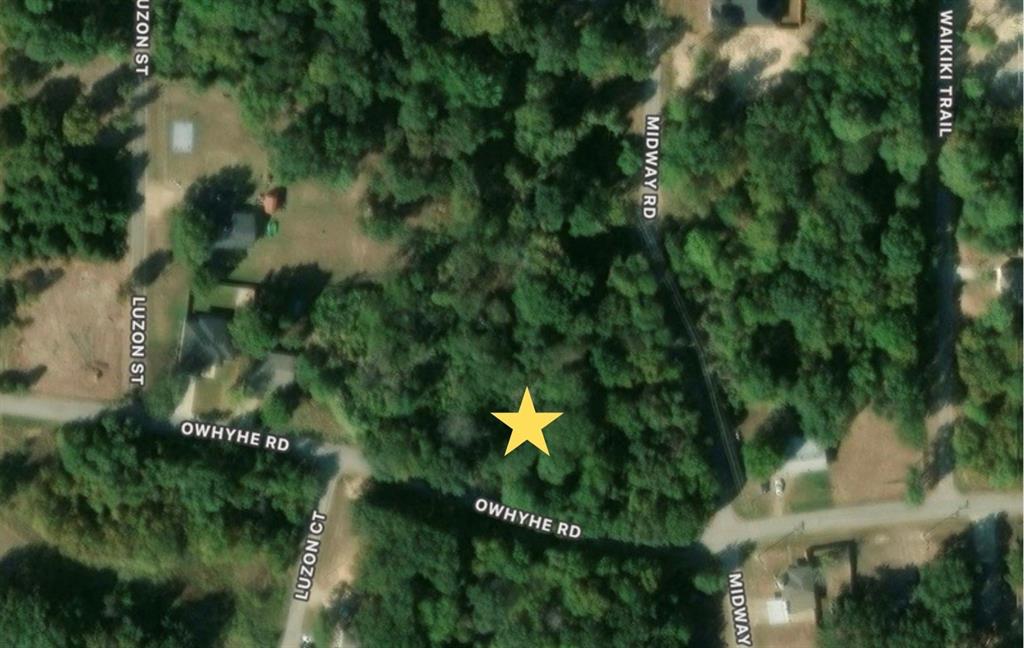 1113 Owhyhe Road Tool, TX 75143 - Photo 2 of 3 a close up of a tree in a garden