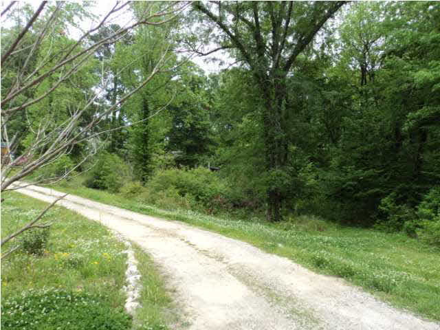 drive way