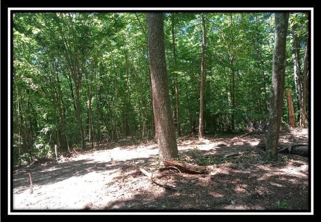 1205 McCarley Road Vinton, OH 45686 - Photo 17 of 20