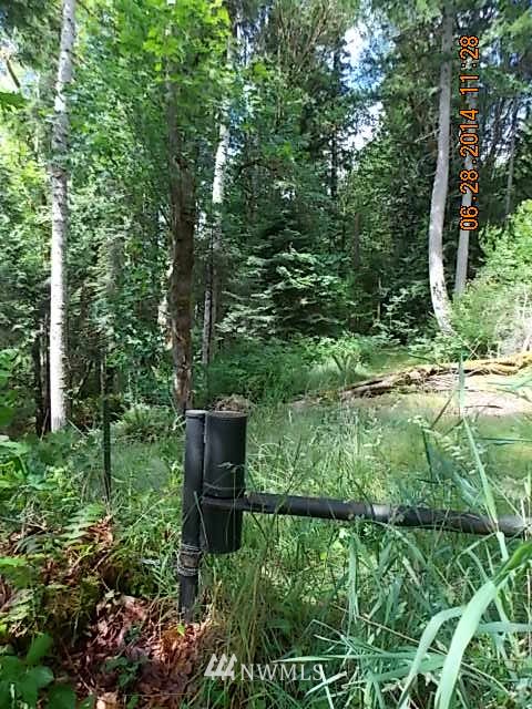 600 Rice Lake Road Quilcene, WA 98376 - Photo 2 of 16