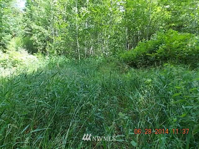 600 Rice Lake Road Quilcene, WA 98376 - Photo 13 of 16