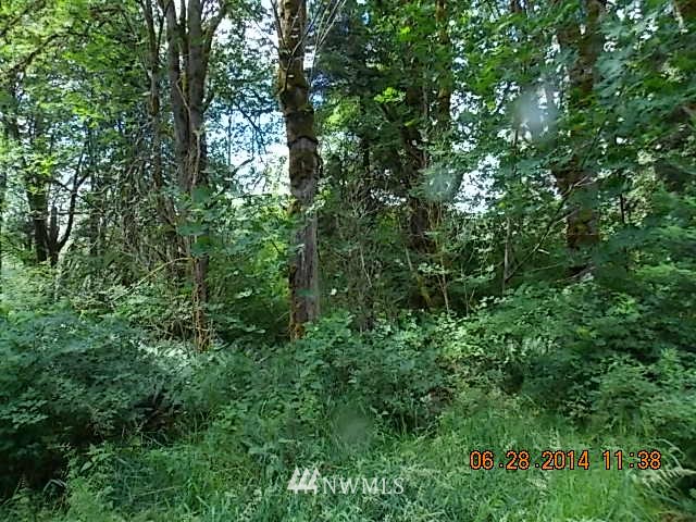 600 Rice Lake Road Quilcene, WA 98376 - Photo 14 of 16