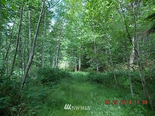 600 Rice Lake Road Quilcene, WA 98376 - Photo 15 of 16