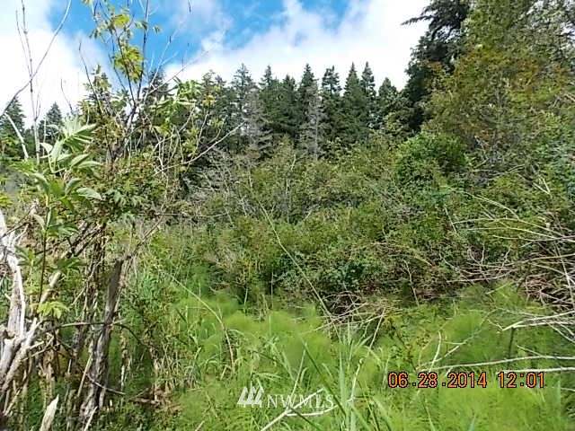 600 Rice Lake Road Quilcene, WA 98376 - Photo 16 of 16