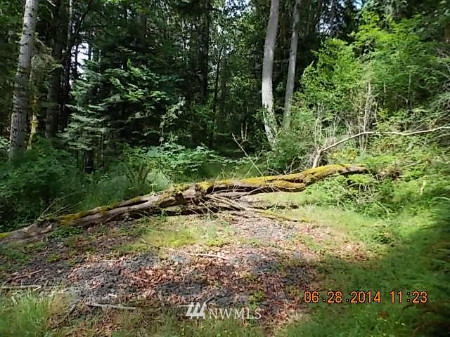 600 Rice Lake Road Quilcene, WA 98376 - Photo 3 of 16