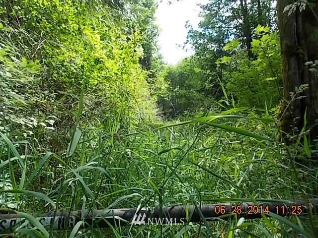 600 Rice Lake Road Quilcene, WA 98376 - Photo 4 of 16