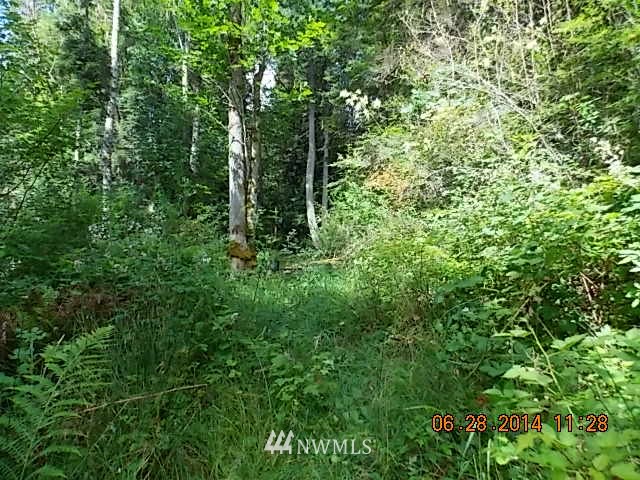600 Rice Lake Road Quilcene, WA 98376 - Photo 5 of 16