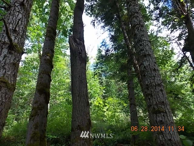 600 Rice Lake Road Quilcene, WA 98376 - Photo 7 of 16