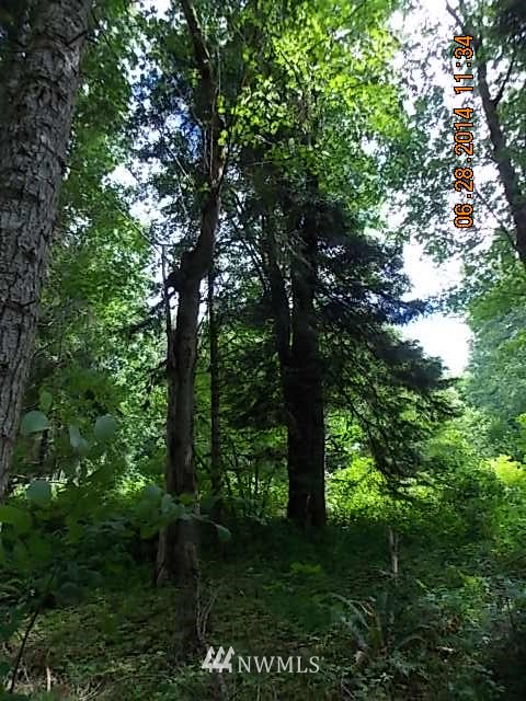 600 Rice Lake Road Quilcene, WA 98376 - Photo 8 of 16