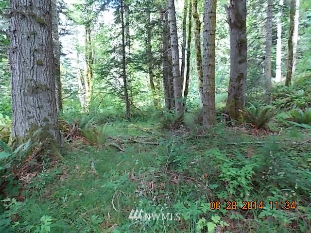 600 Rice Lake Road Quilcene, WA 98376 - Photo 9 of 16