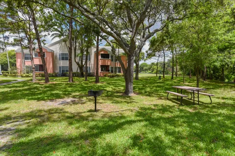 a view of a park with large trees