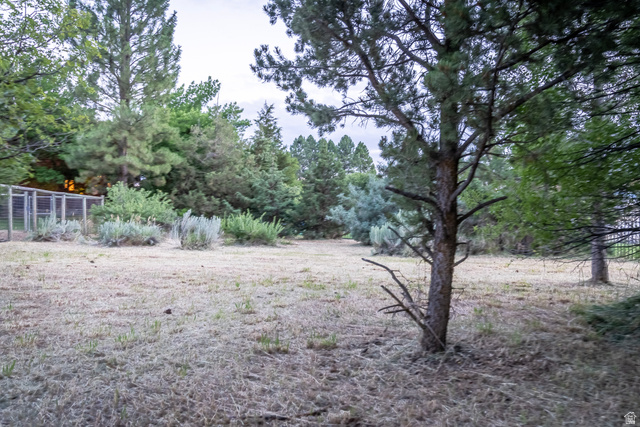 435 Canyon Road Millville, UT 84326 - Photo 72 of 113 Expansive outdoor space featuring mature trees and established perimeter fencing