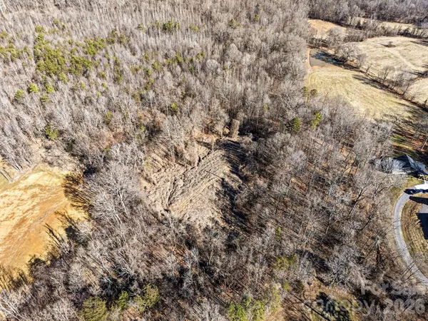 a view of a dry yard with lots of bushes