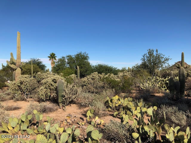 10130 West Rudasill Road, Unit NONE Tucson, AZ 85743 - Photo 7 of 10 Gallery Image 7