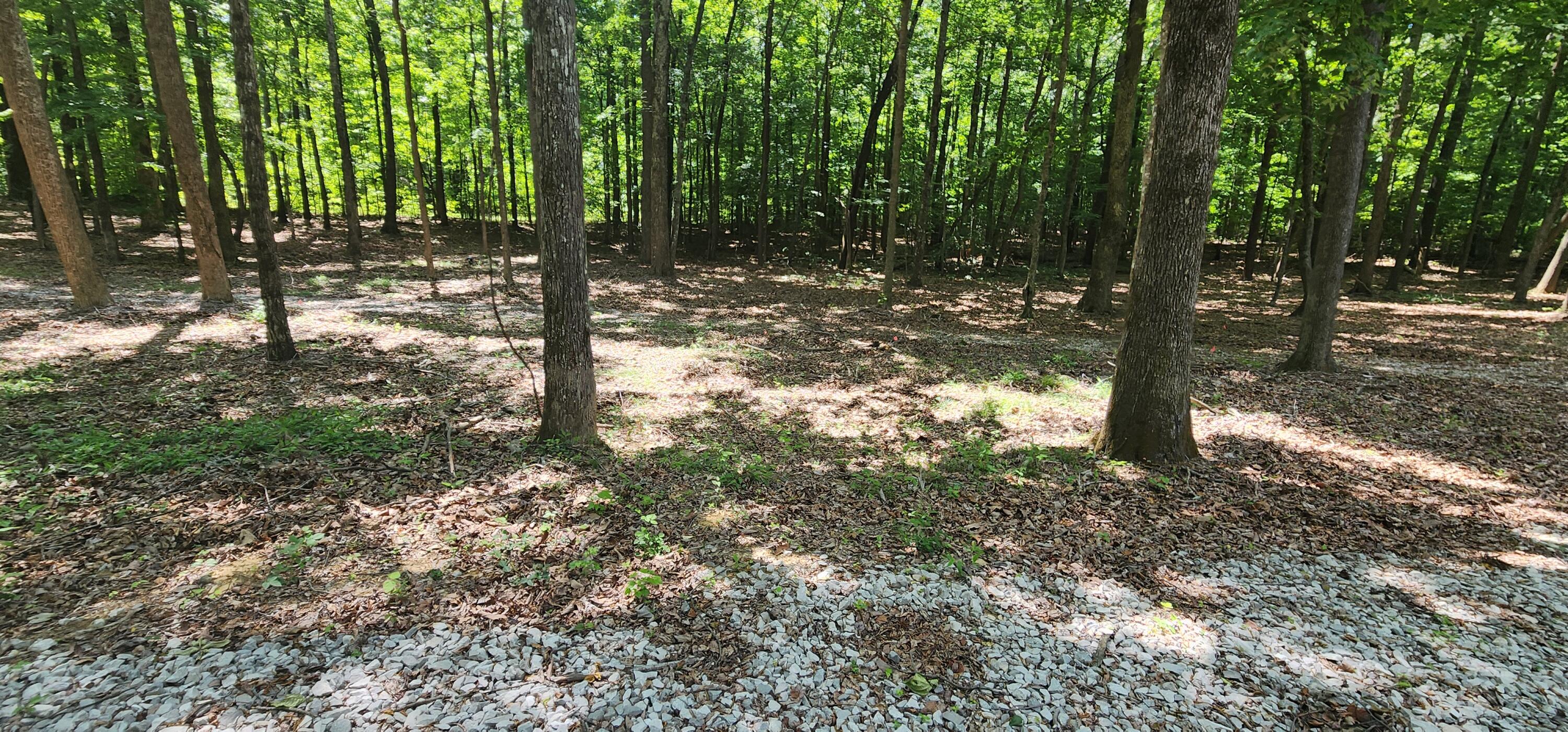 0 Roth Point Road, Unit 5 Altamont, TN 37301 - Photo 44 of 53 1000052082