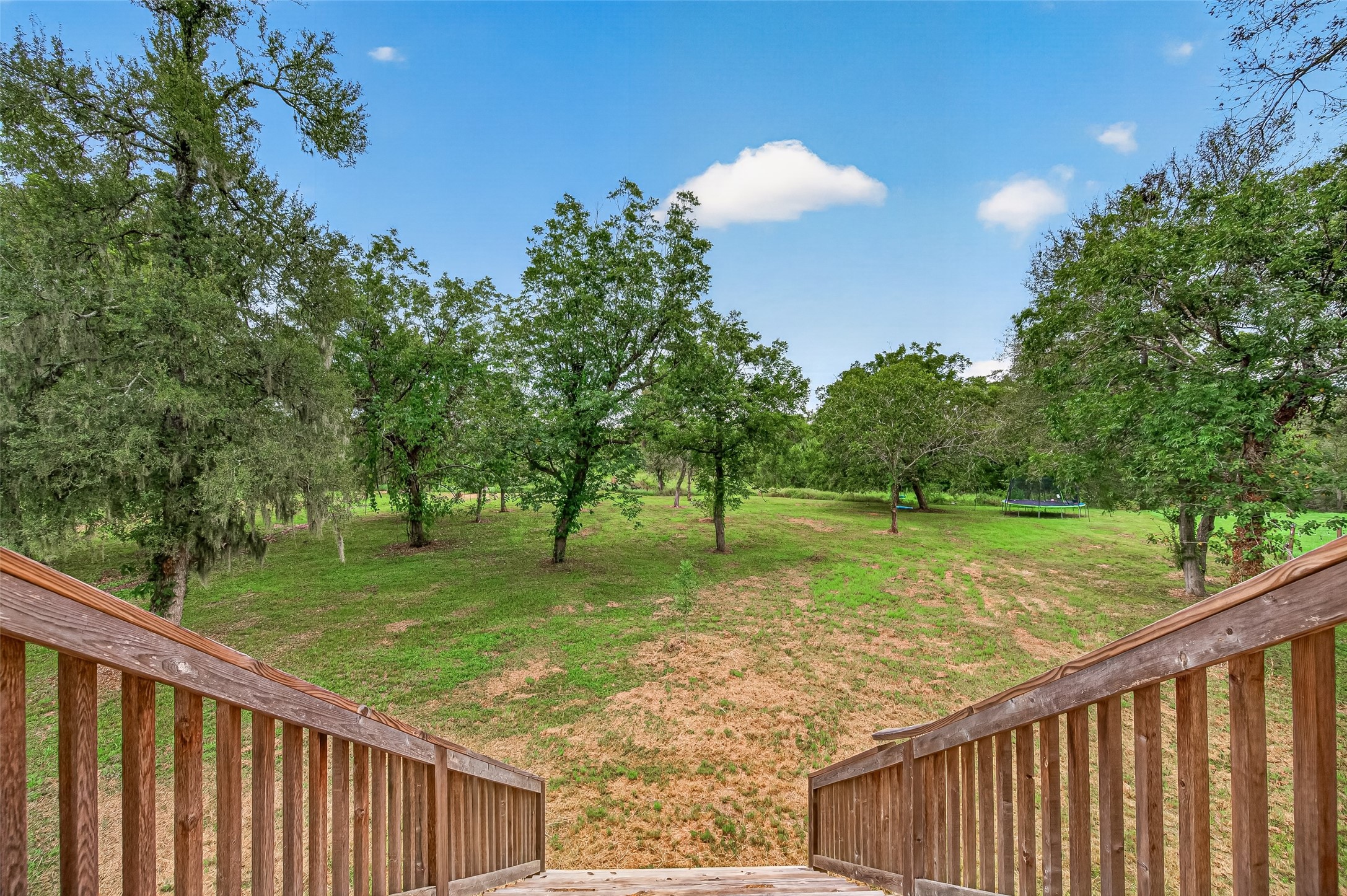 14720 Padre Court Road Needville, TX 77461 - Photo 41 of 50 Gallery Image 41