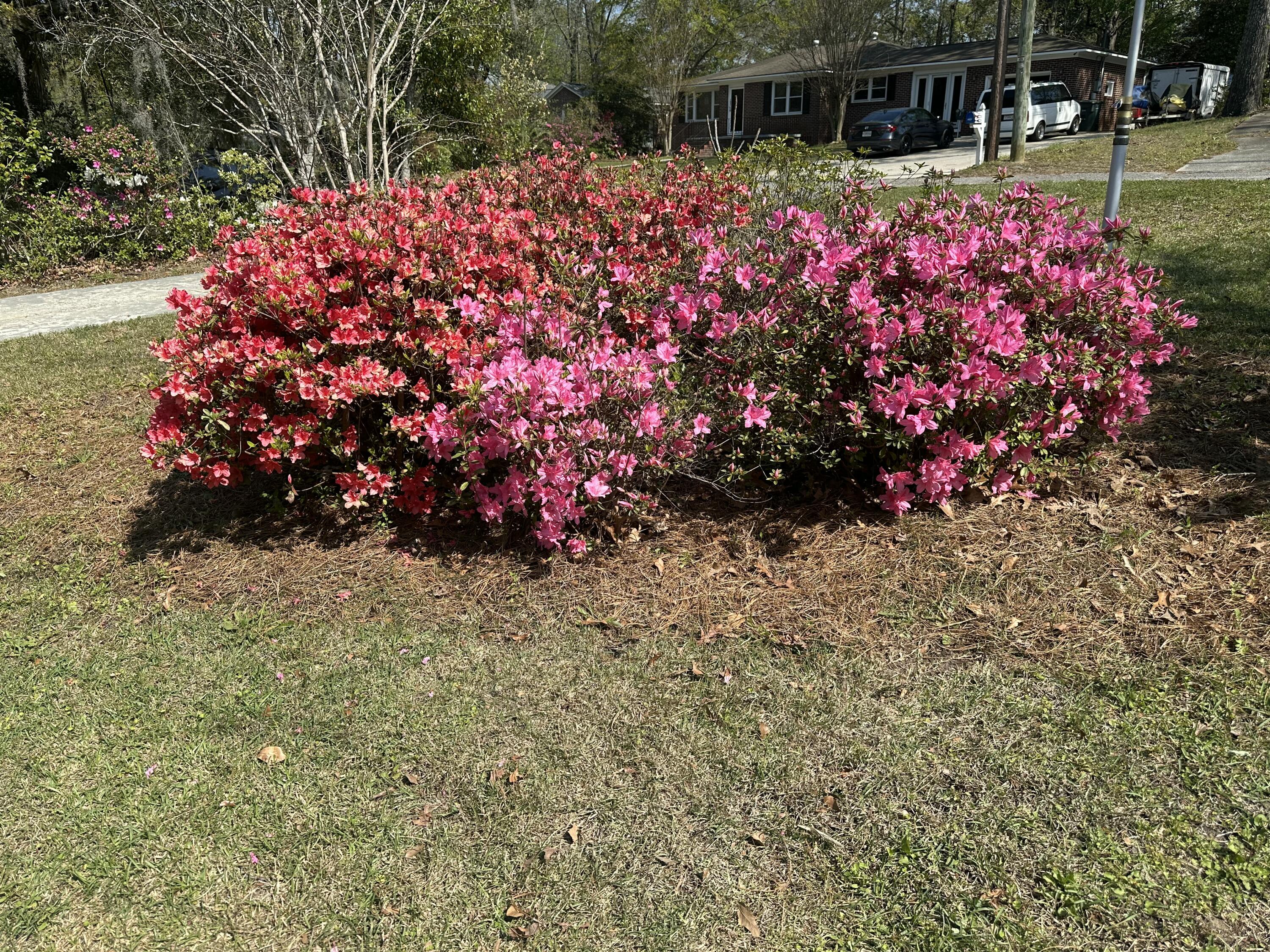 1016 Wheeler Drive Hanahan, SC 29410 - Photo 7 of 44 IMG_0129