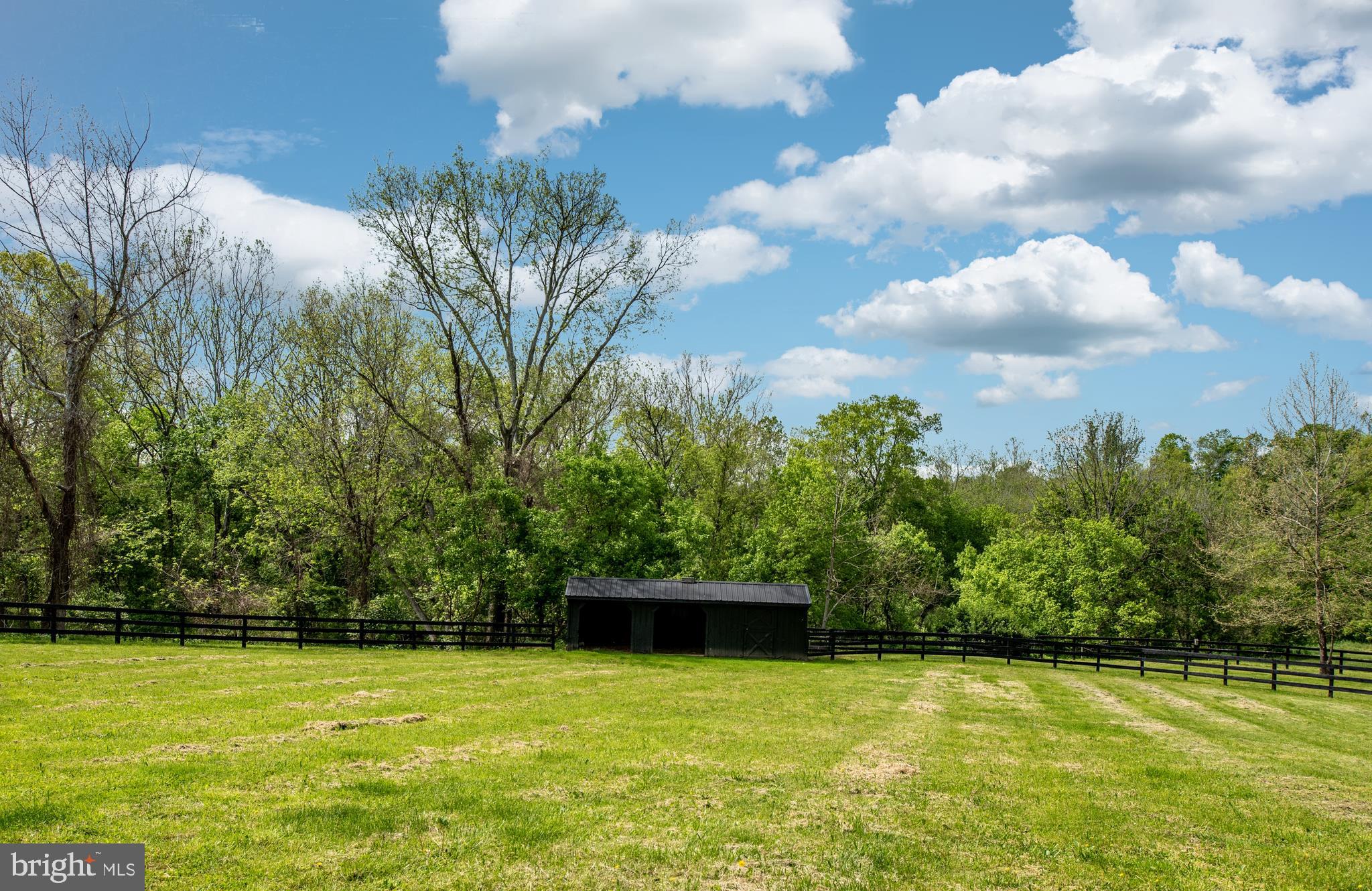 23027 Kirk Branch Road Middleburg, VA 20117 - Photo 100 of 112 run in shed ready for horses