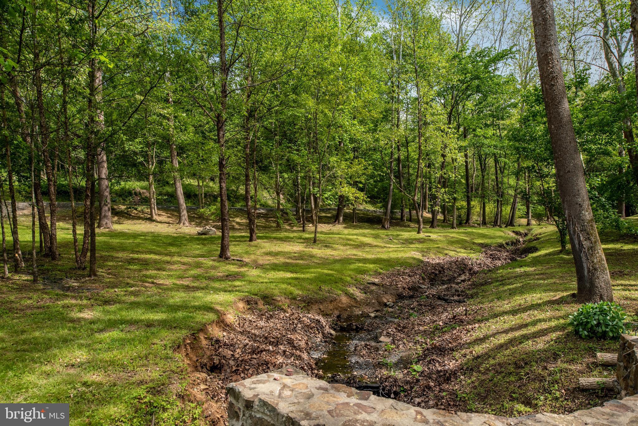 23027 Kirk Branch Road Middleburg, VA 20117 - Photo 109 of 112 beautiful grounds