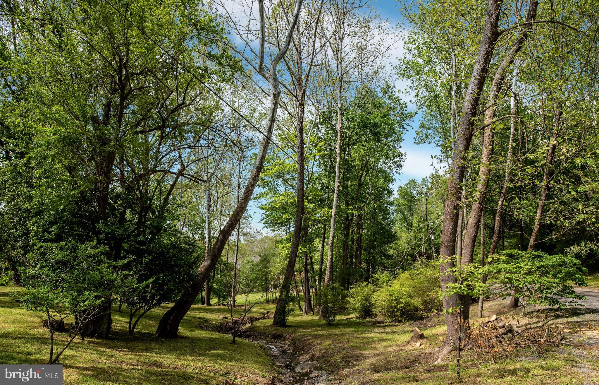 23027 Kirk Branch Road Middleburg, VA 20117 - Photo 111 of 112 Gallery Image 111