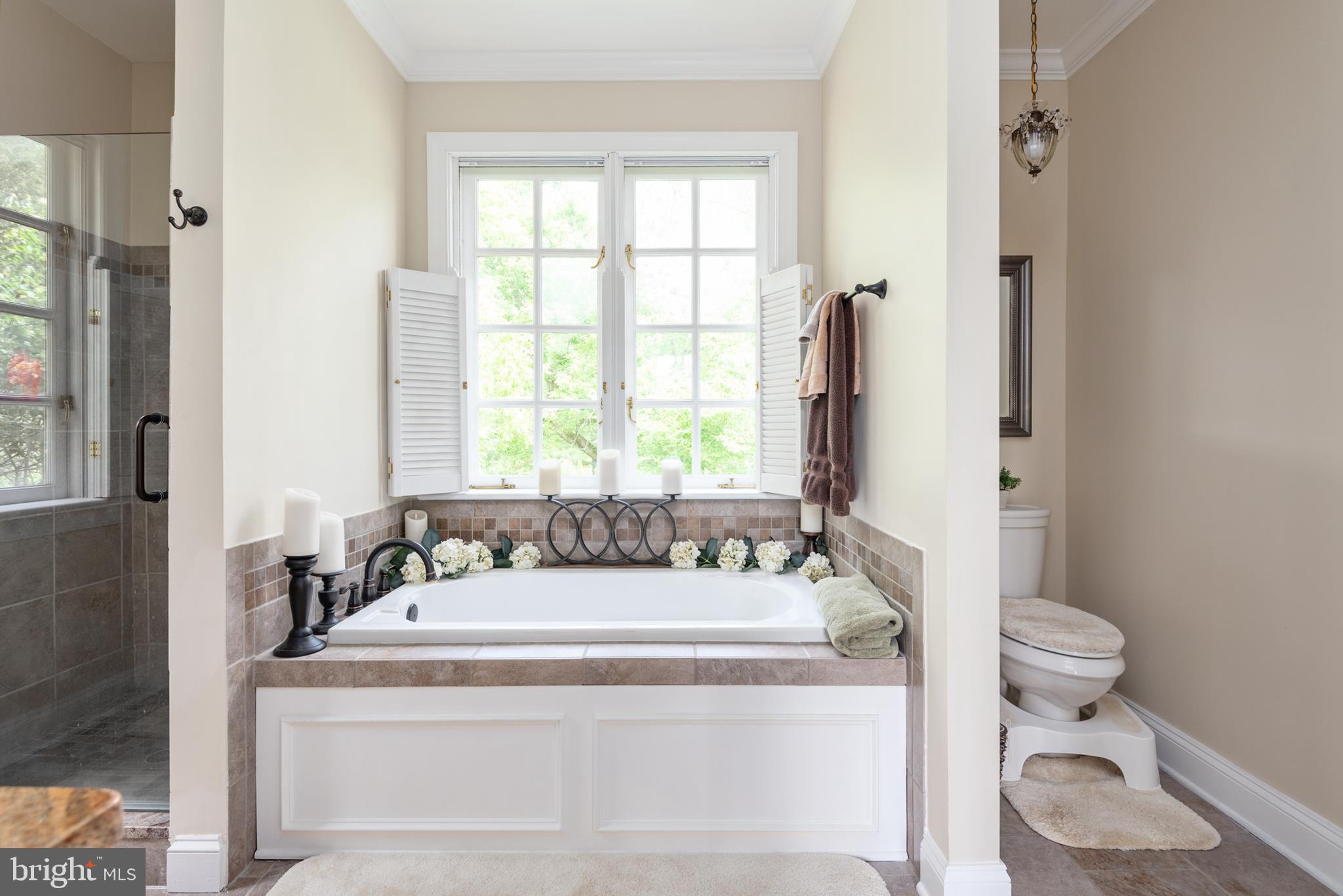 23027 Kirk Branch Road Middleburg, VA 20117 - Photo 27 of 112 master bath