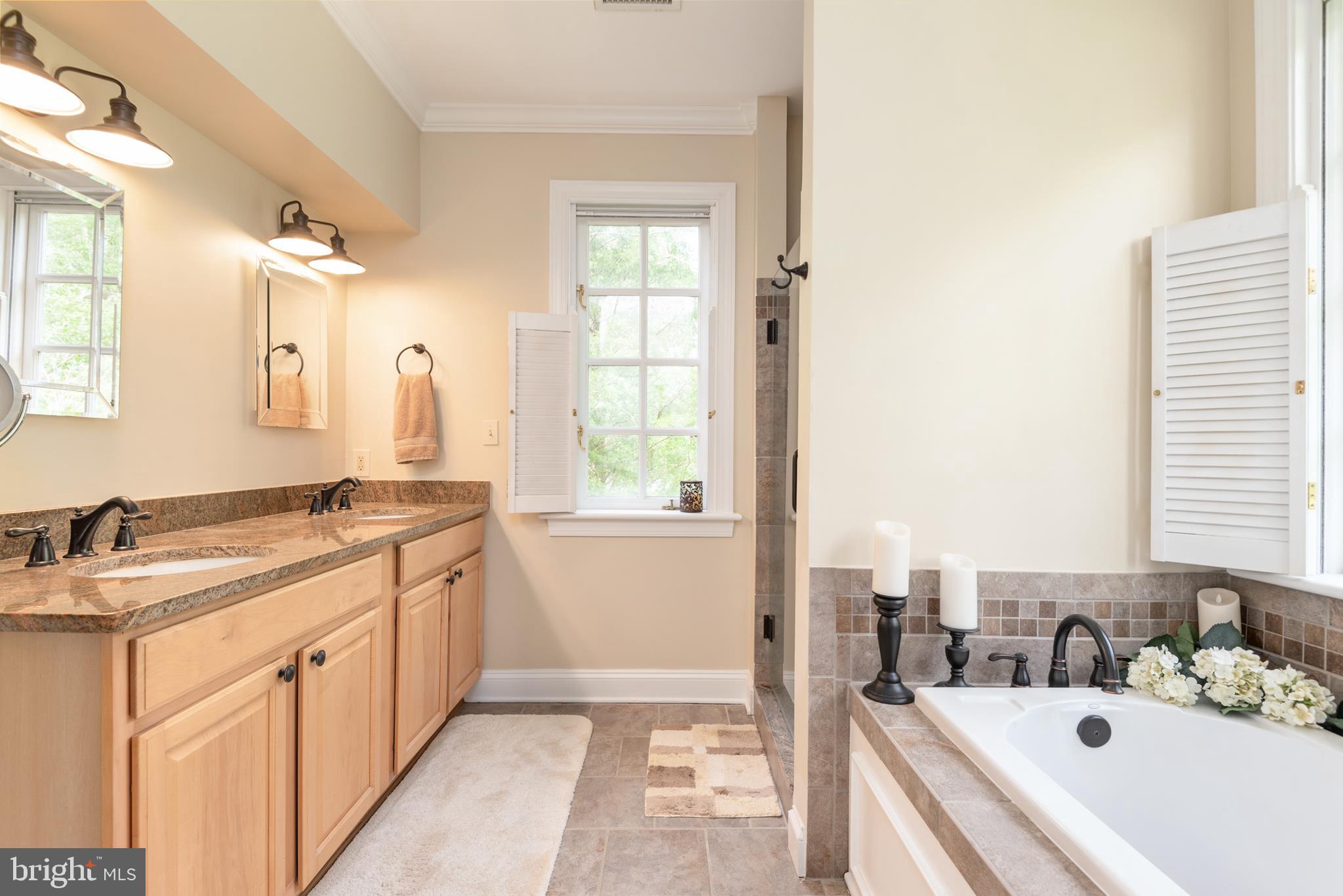 23027 Kirk Branch Road Middleburg, VA 20117 - Photo 28 of 112 master bath
