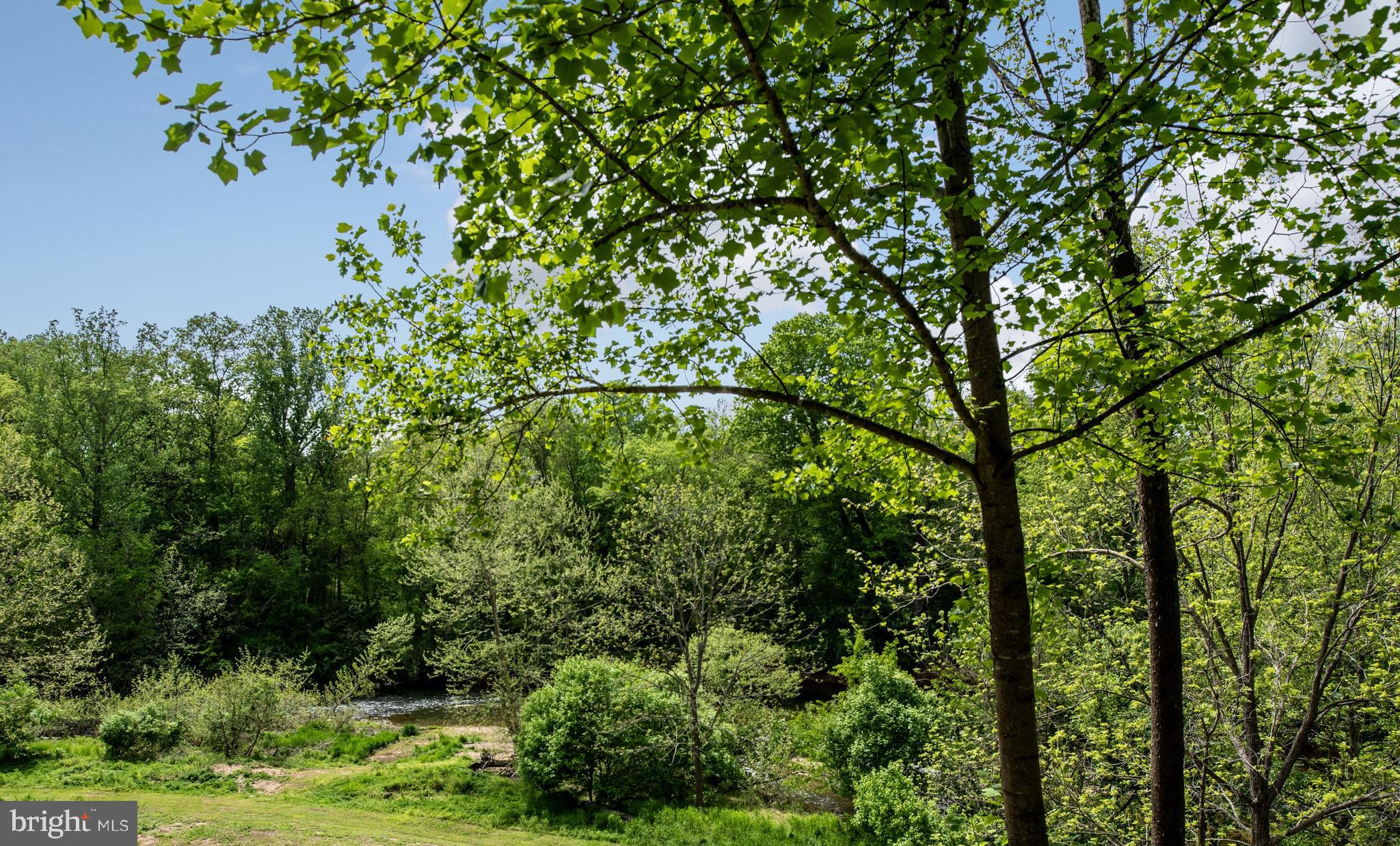 23027 Kirk Branch Road Middleburg, VA 20117 - Photo 63 of 112 Gallery Image 63