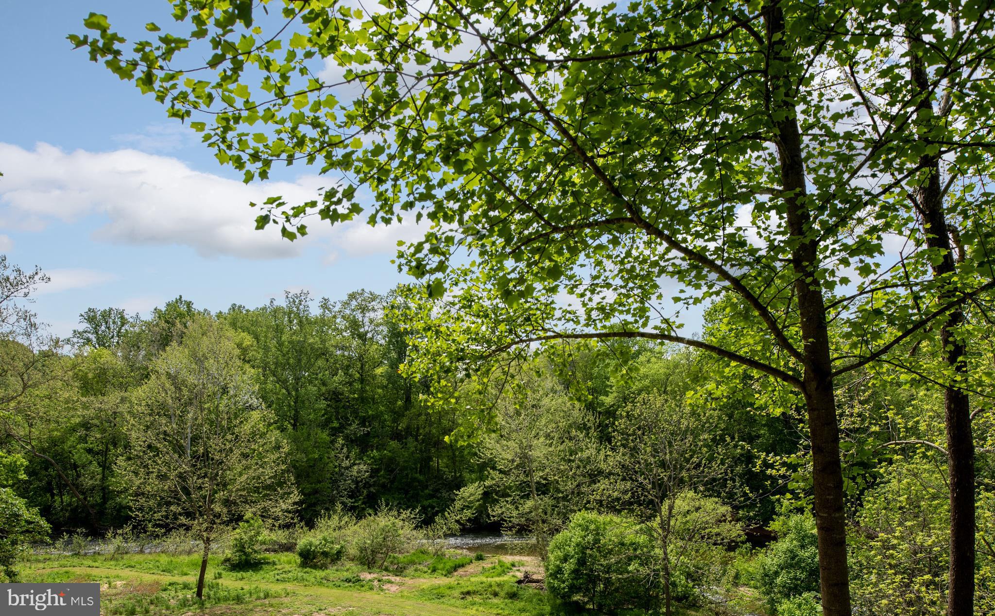 23027 Kirk Branch Road Middleburg, VA 20117 - Photo 68 of 112 Gallery Image 68