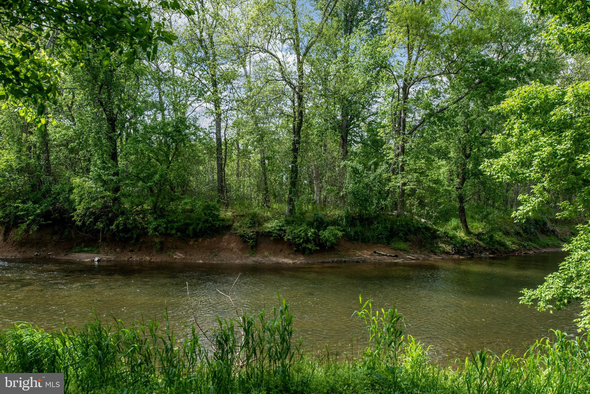 23027 Kirk Branch Road Middleburg, VA 20117 - Photo 75 of 112 Tranquil view from the cottage