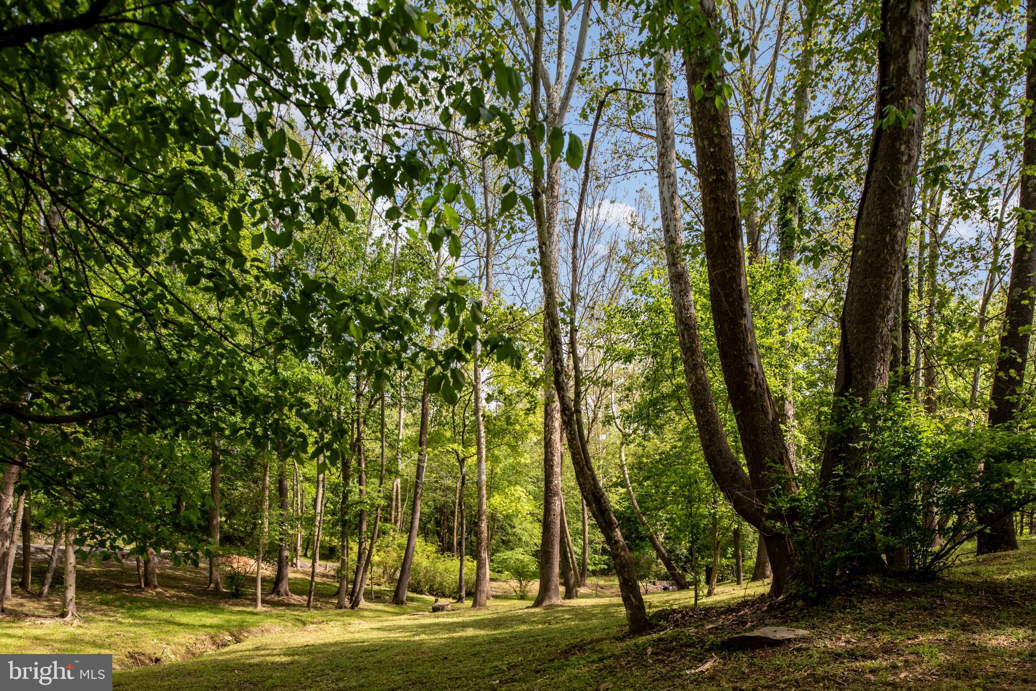 23027 Kirk Branch Road Middleburg, VA 20117 - Photo 77 of 112 Gallery Image 77