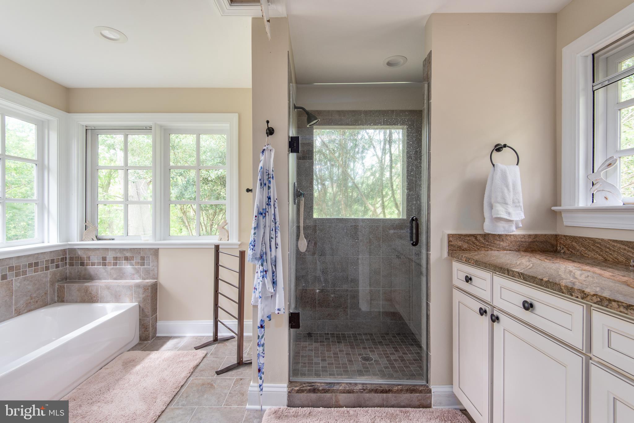 23027 Kirk Branch Road Middleburg, VA 20117 - Photo 81 of 112 luxury cottage bath