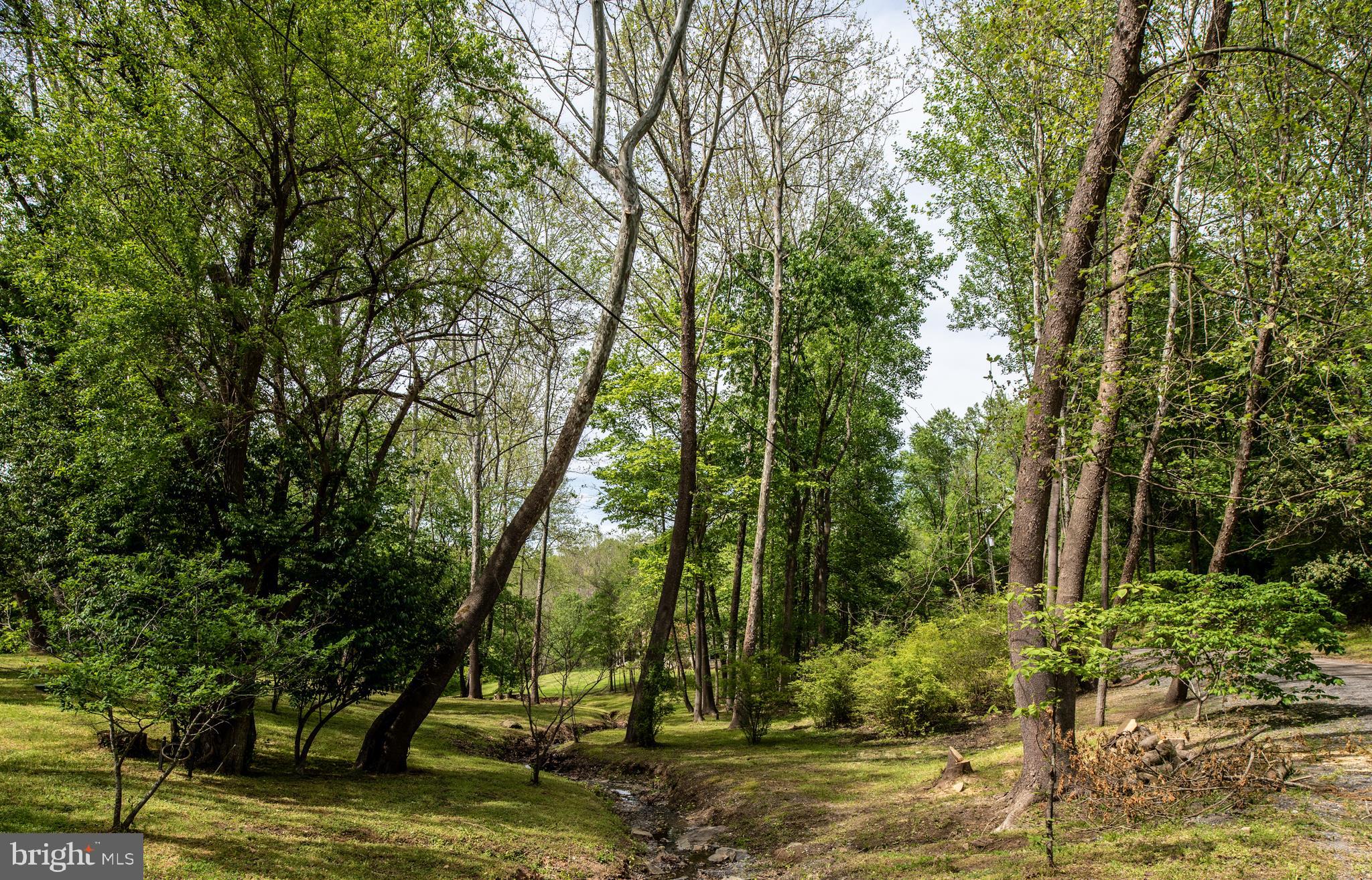 23027 Kirk Branch Road Middleburg, VA 20117 - Photo 94 of 112 Gallery Image 94