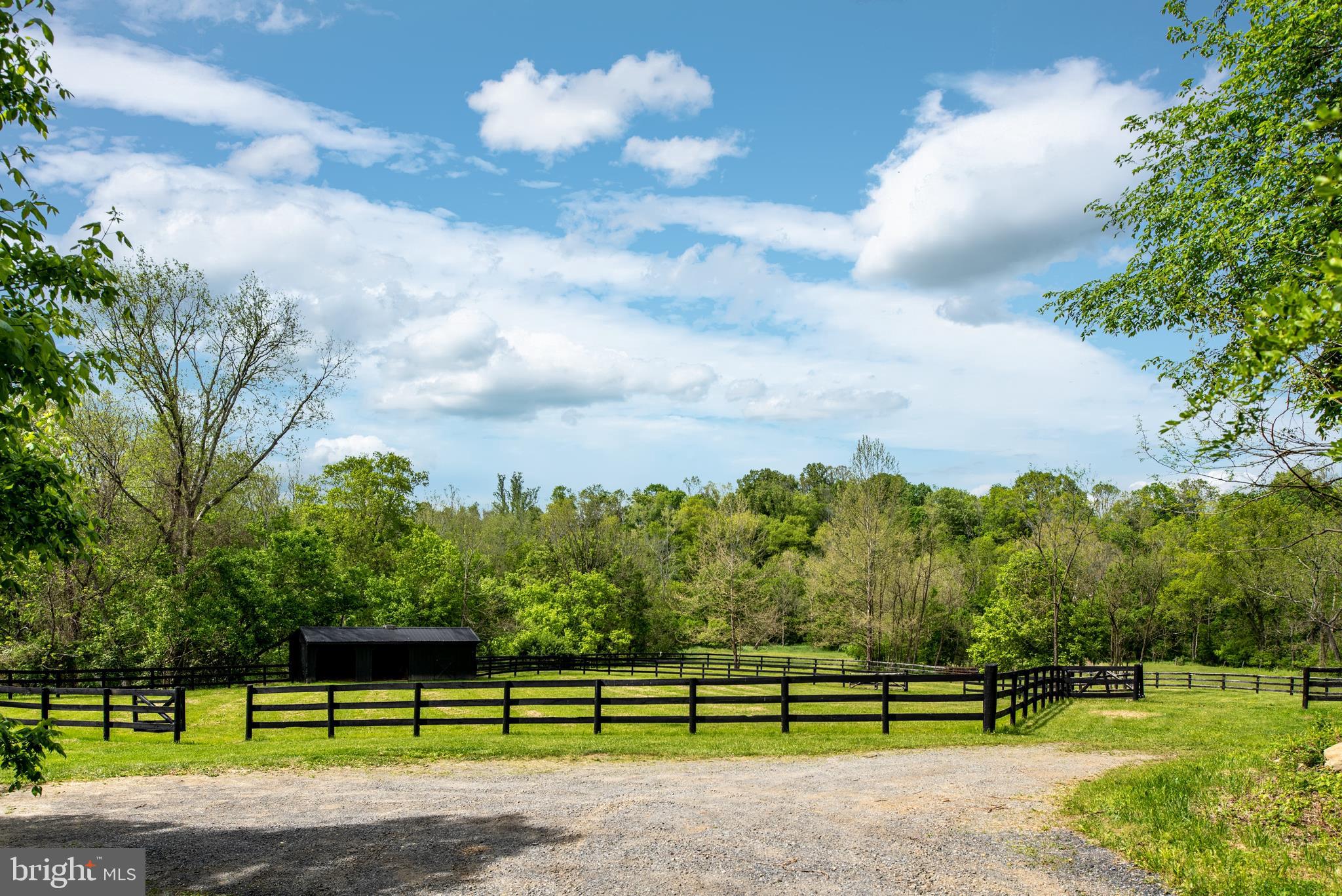 23027 Kirk Branch Road Middleburg, VA 20117 - Photo 96 of 112 paddock ready for horses