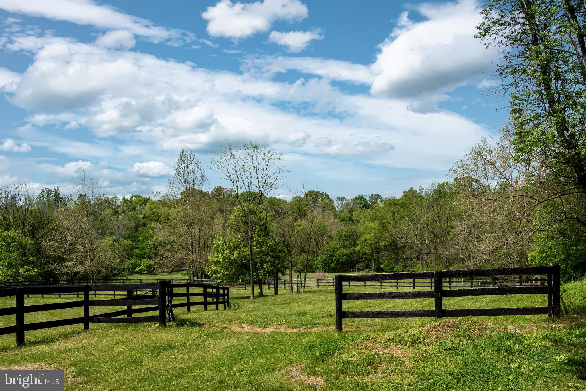 23027 Kirk Branch Road Middleburg, VA 20117 - Photo 97 of 112 two paddocks