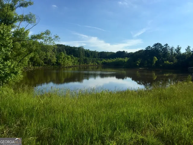an aerial view of a house with a garden
