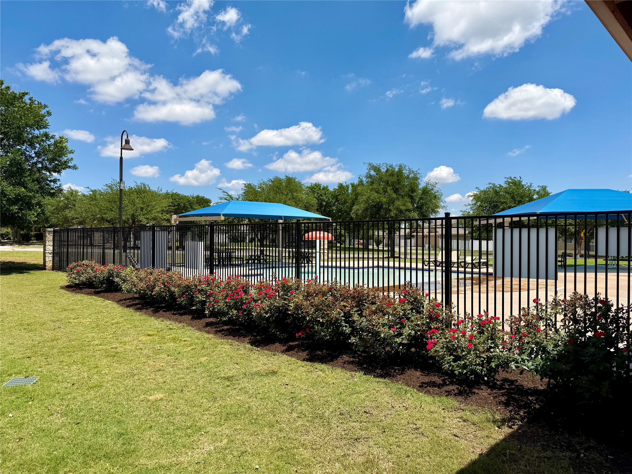 1507 Davis Mountain Loop Cedar Park, TX 78613 - Photo 26 of 30 Community swimming pool