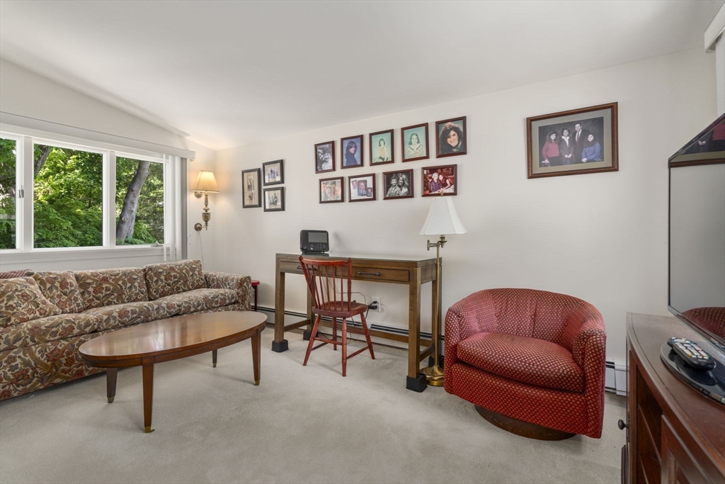 127-129 Withington Road Newton, MA 02460 - Photo 17 of 33 a living room with furniture a couch and a potted plant