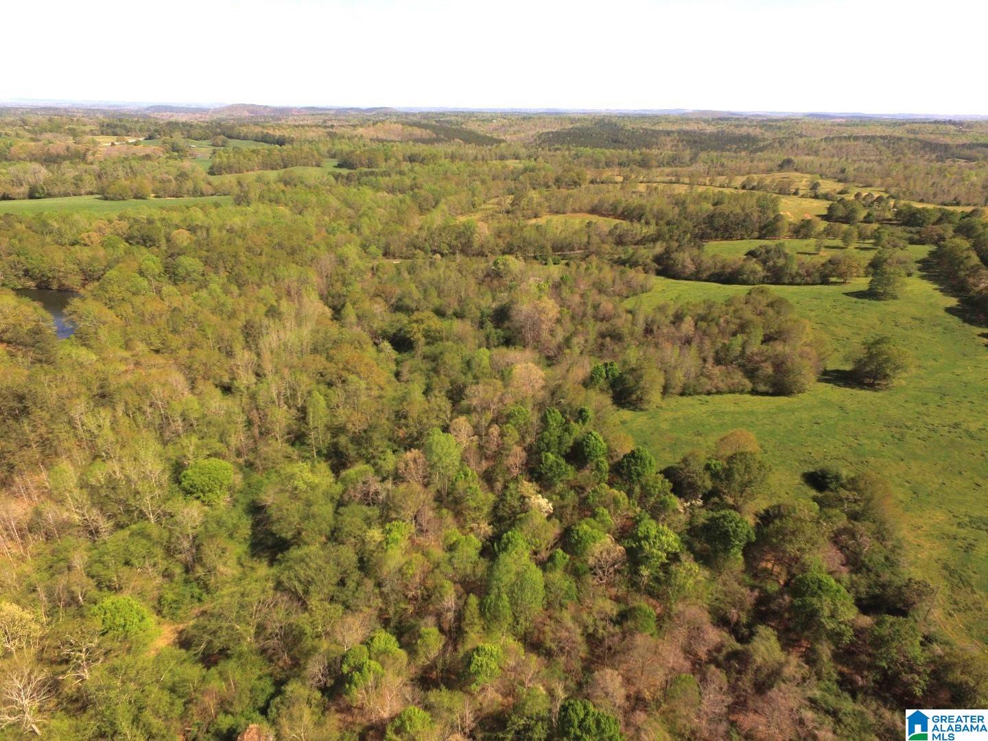 Arena Road, Unit 91 Lineville, AL 36266 - Photo 7 of 13