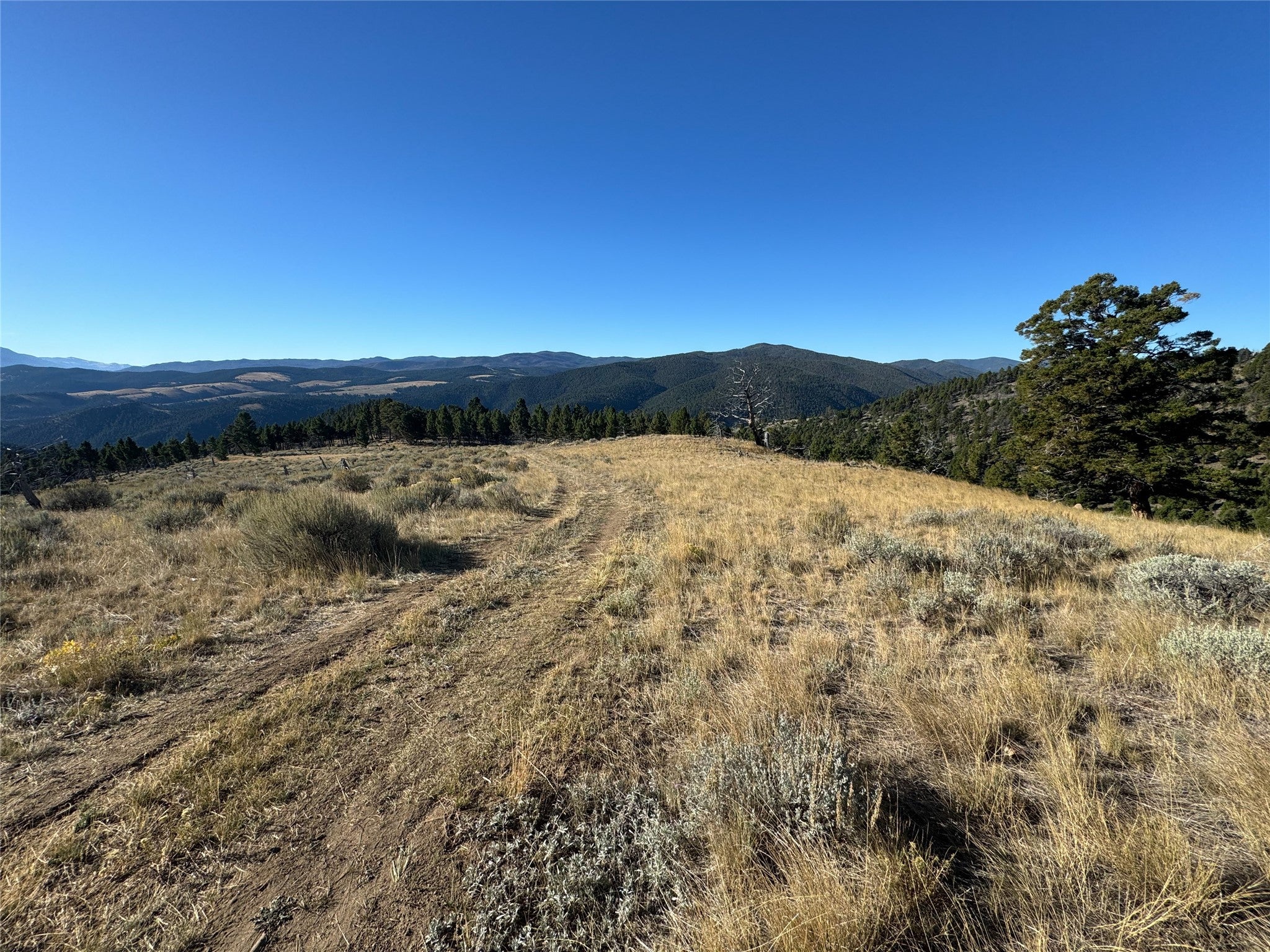 Tbd (40.1-ac) Tbd (40.1-ac) High Ore Road Boulder, MT 59632 - Photo 44 of 62 Gallery Image 44
