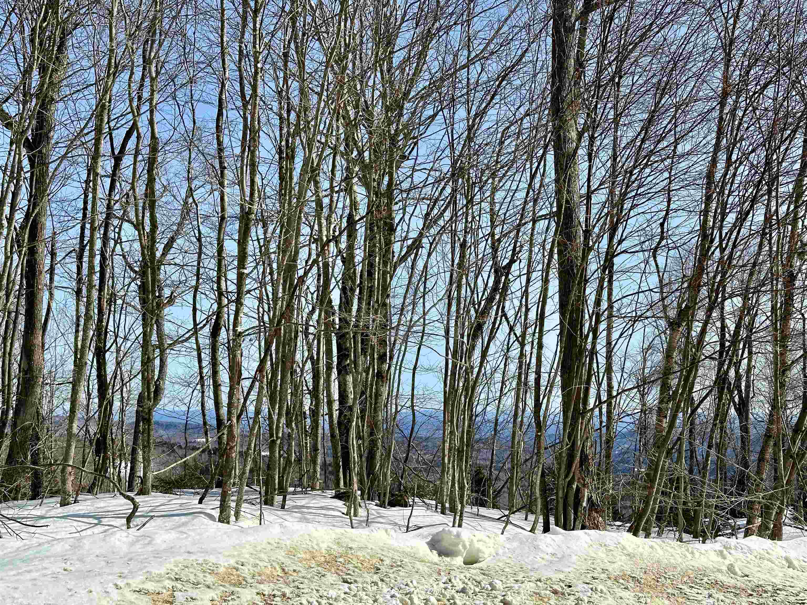 Lot 49 Andover Ridge Road, Unit 49 Andover, VT 05143 - Photo 3 of 13 Gallery Image 3