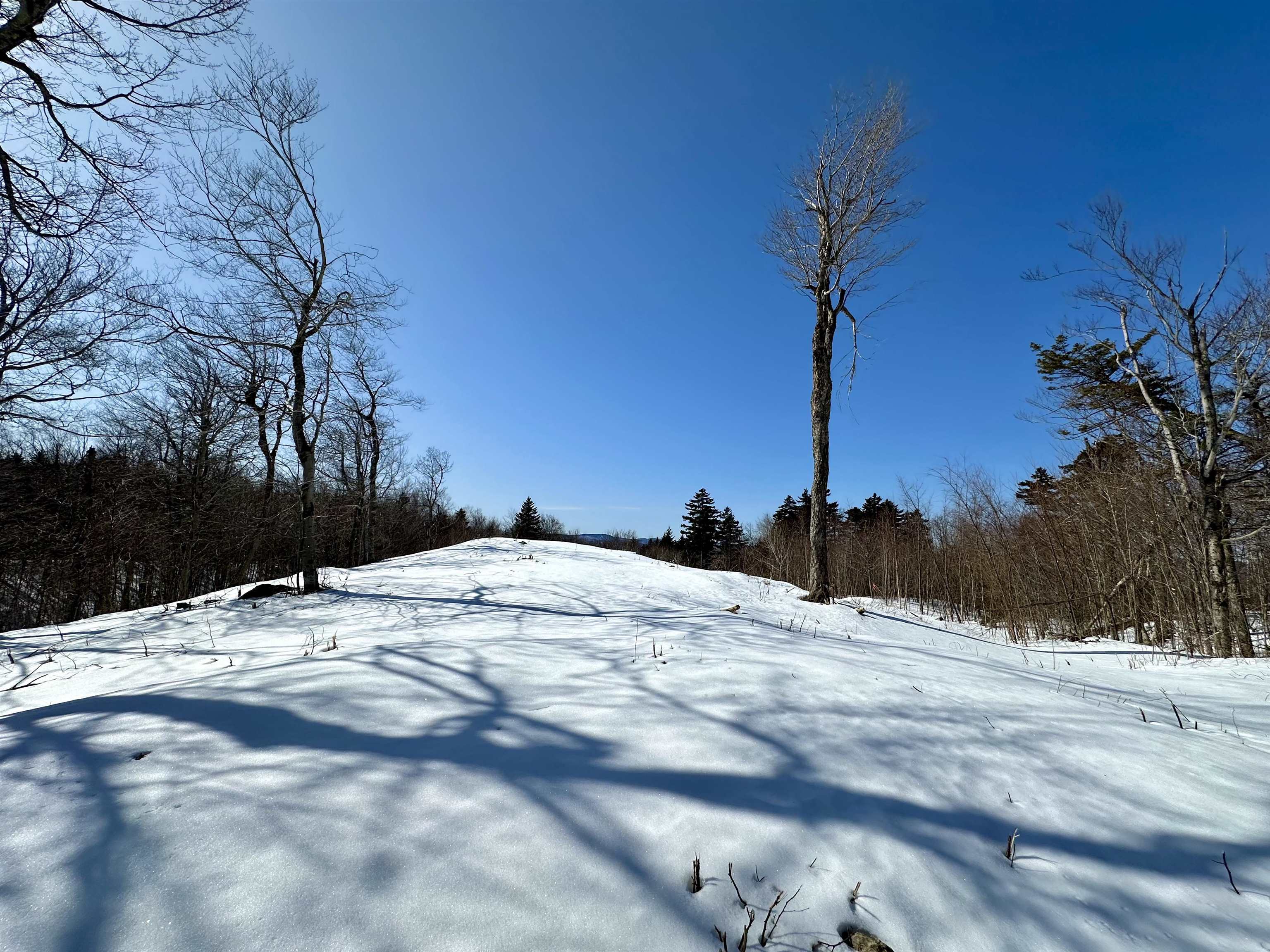 Lot 49 Andover Ridge Road, Unit 49 Andover, VT 05143 - Photo 8 of 13 Gallery Image 8